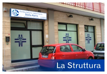 La Struttura