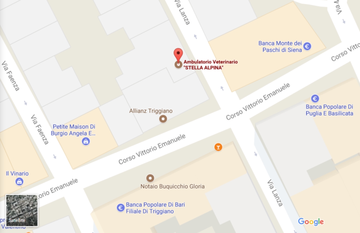 mappa_ok